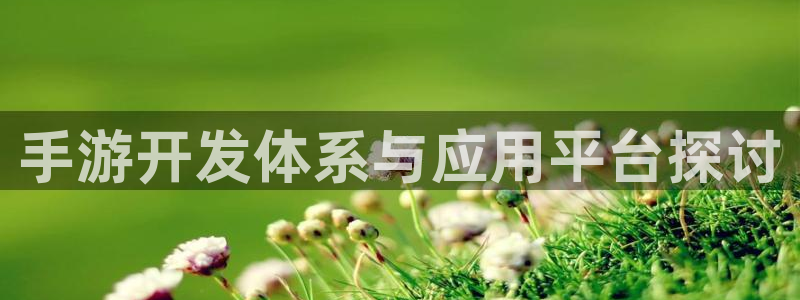 93299;com星空娱乐：手游开发体系与应用平台探讨