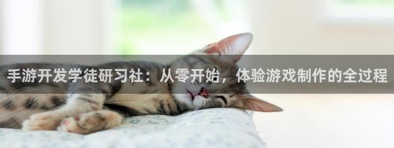 星空娱乐棋牌app：手游开发学徒研习社：从零开始，体验游戏制