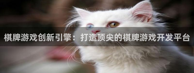 星空娱乐新版本下载：棋牌游戏创新引擎：打造顶尖的棋牌游戏开发
