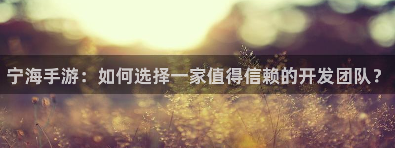 星空娱乐93299：宁海手游：如何选择一家值得信赖的开发团队
