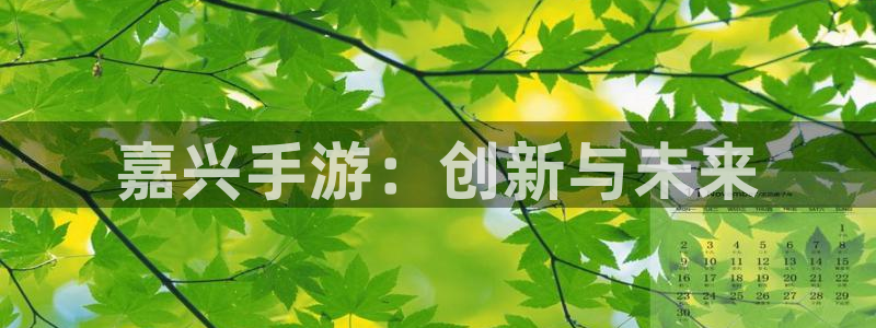 星空娱乐网站：嘉兴手游：创新与未来