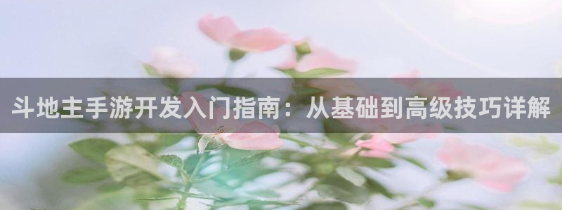 星空娱乐网：斗地主手游开发入门指南：从基础到高级技巧详解