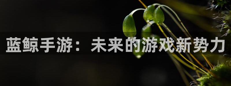 星空93299娱乐：蓝鲸手游：未来的游戏新势力