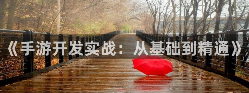 星空娱乐体育：《手游开发实战：从基础到精通》