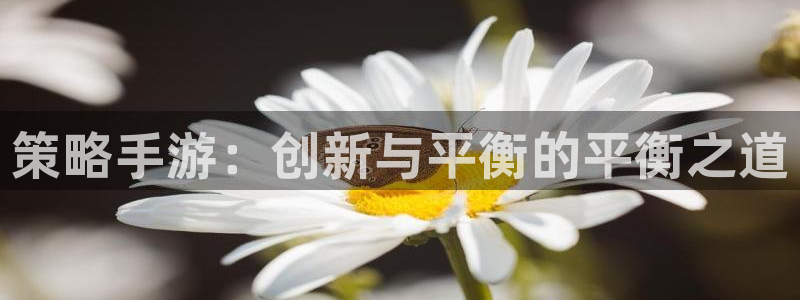 星空娱乐网址