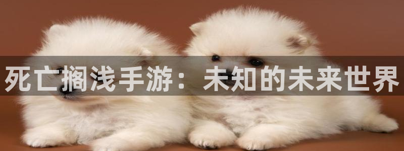 星空娱乐旧版app：死亡搁浅手游：未知的未来世界