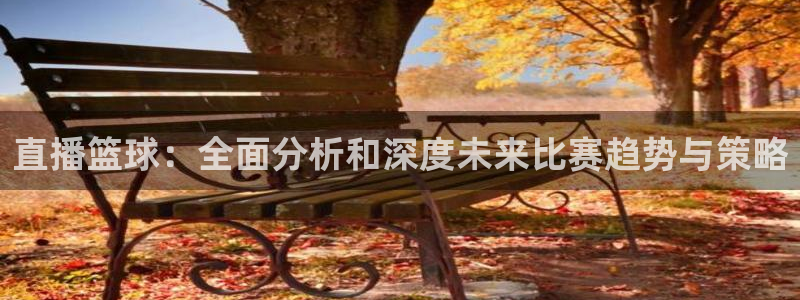 劲爆体育直播在线观看高清