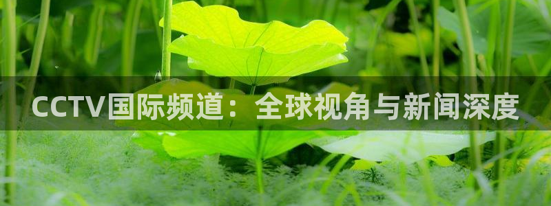 直播吧劲爆体育：CCTV国际频道：全球视角与新闻深度