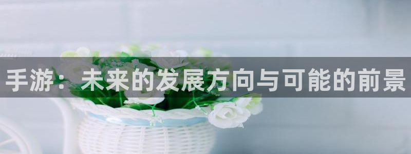 娱乐星空：手游：未来的发展方向与可能的前景