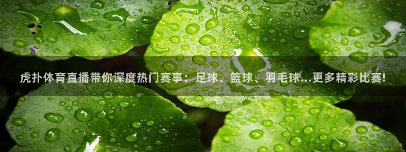 劲爆体育在线直播免费观看：虎扑体育直播带你深度热门赛事：足球、篮球、羽毛球...更多精彩比赛!